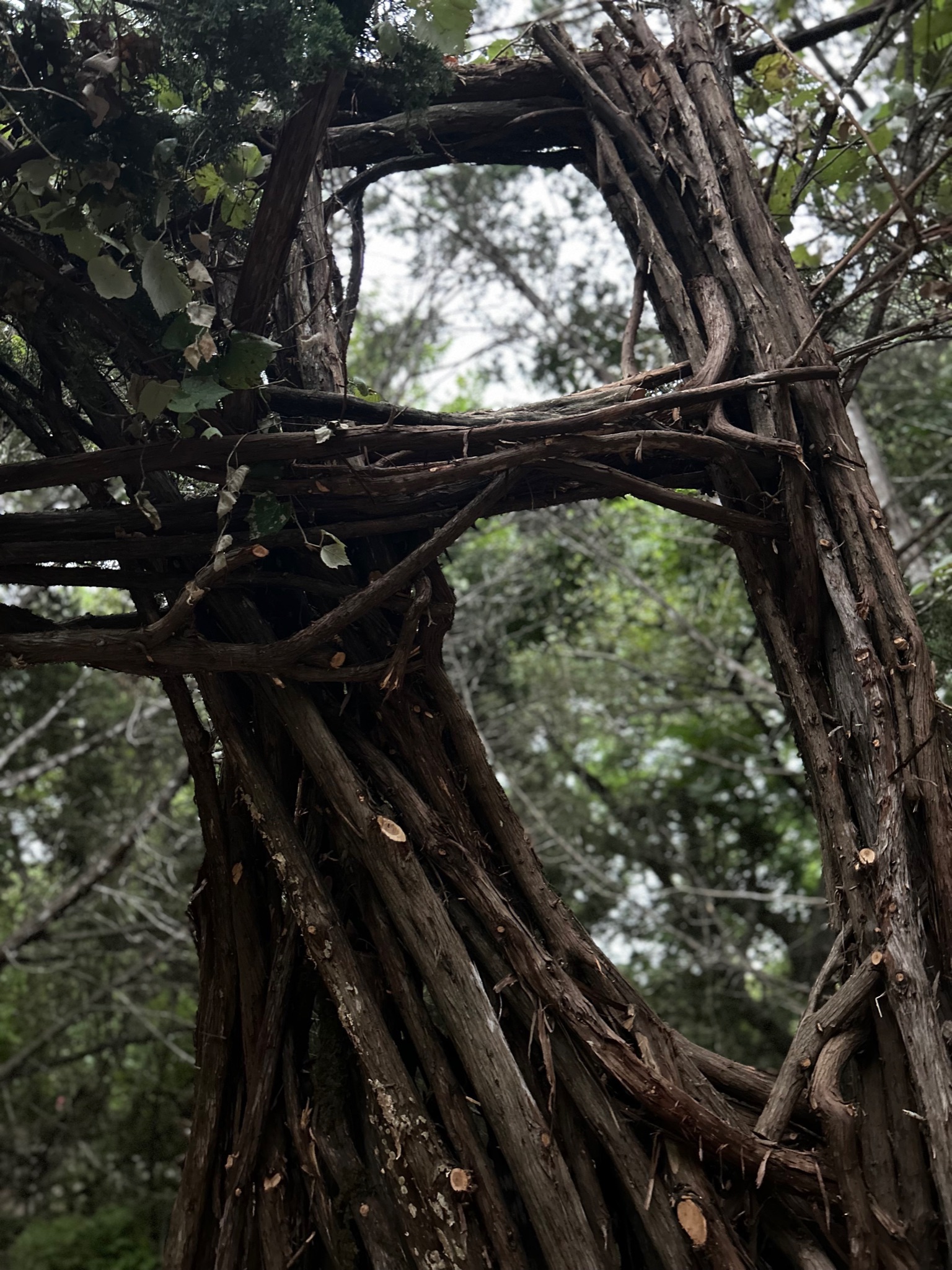 The Space Between — 16
