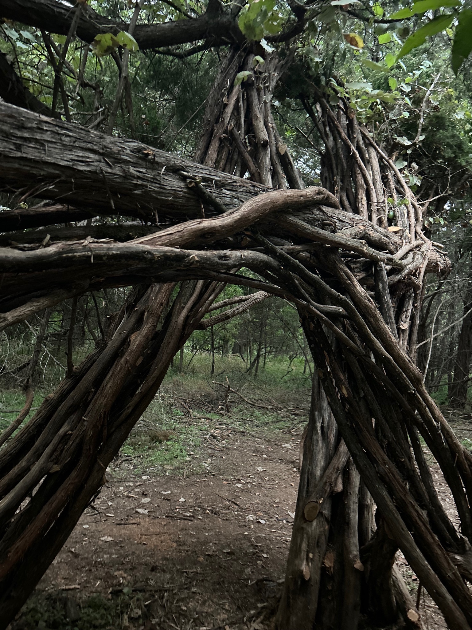 The Space Between — 18