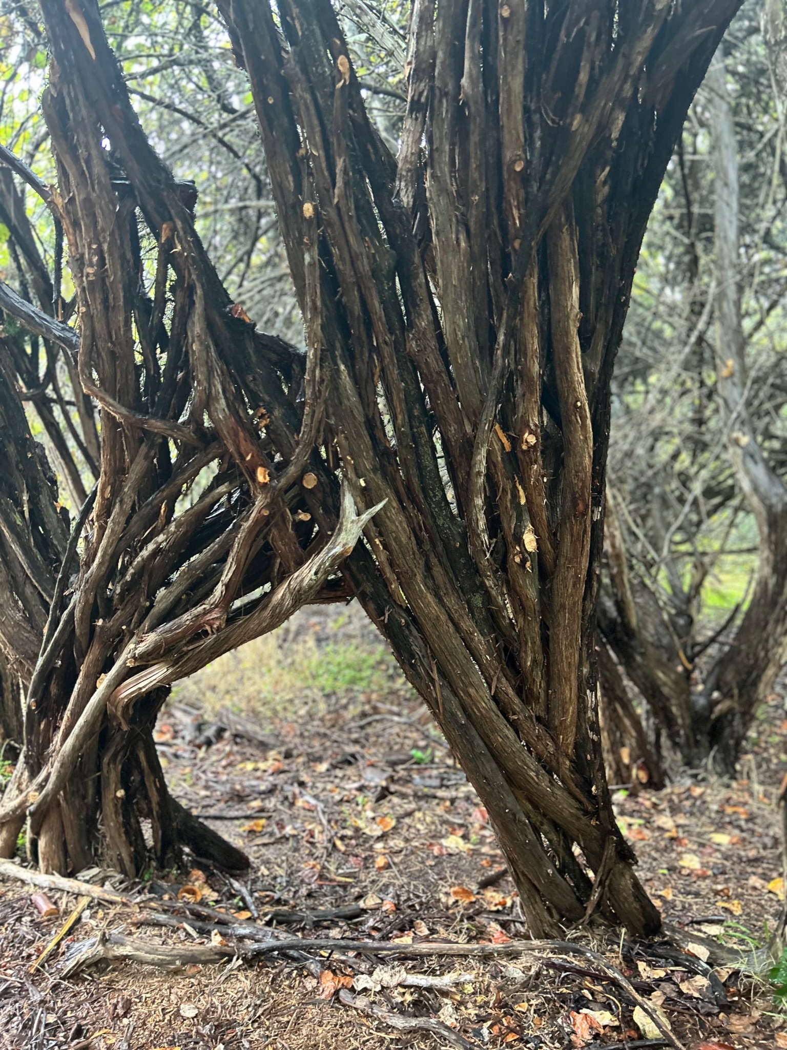 The Space Between — 22