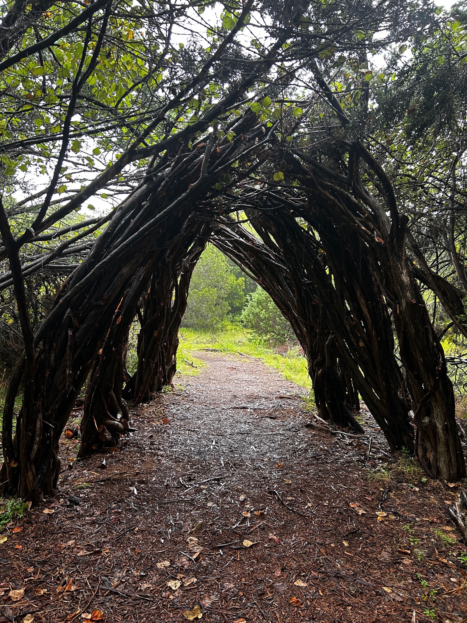The Space Between — 23