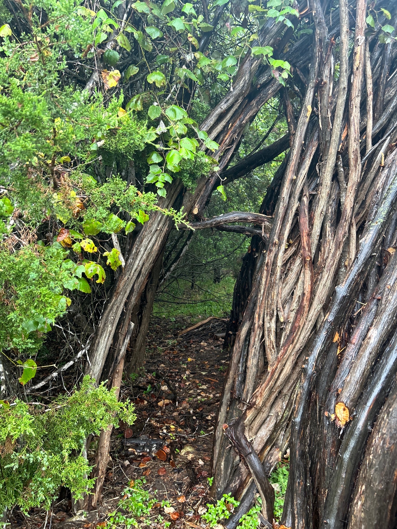 The Space Between — 25